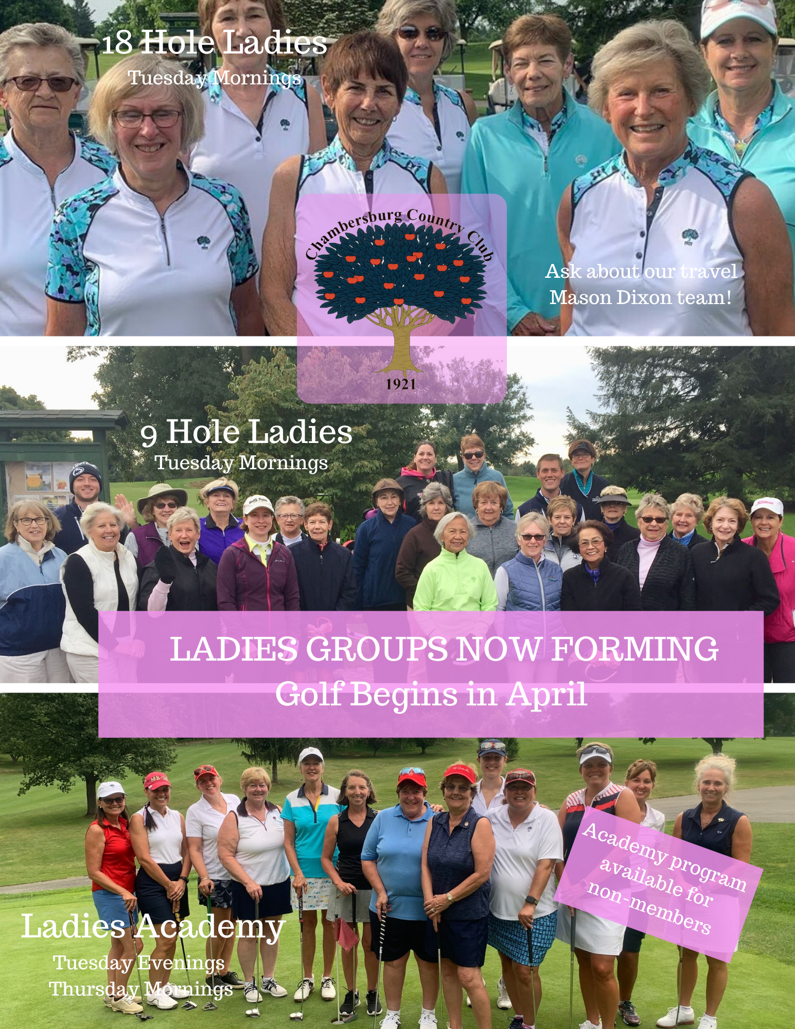 Ladies Golf 2020